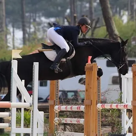 Le Relais De La Praya Bélisaire