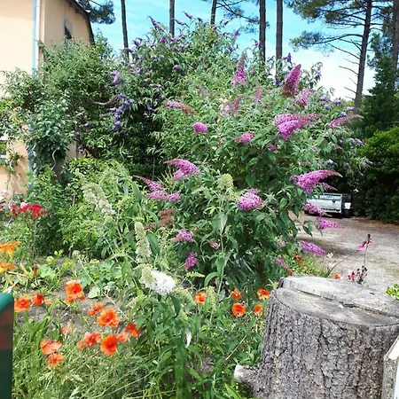 Le Relais De La Praya Bed & Breakfast