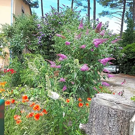 Le Relais De La Praya Bed & Breakfast