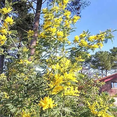 Le Relais De La Praya Bed & Breakfast