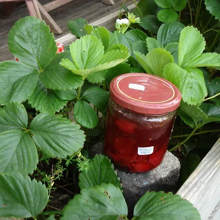 ベッド・アンド・ブレックファスト Le Relais De La Praya Bélisaire