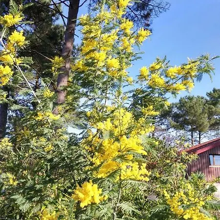 ベッド・アンド・ブレックファスト Le Relais De La Praya Bélisaire