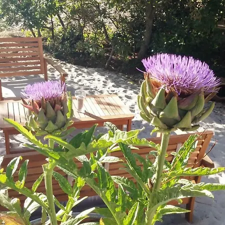 לינה וארוחת בוקר Le Relais De La Praya 3*
