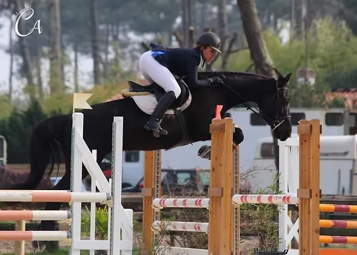 Le Relais De La Praya Bélisaire